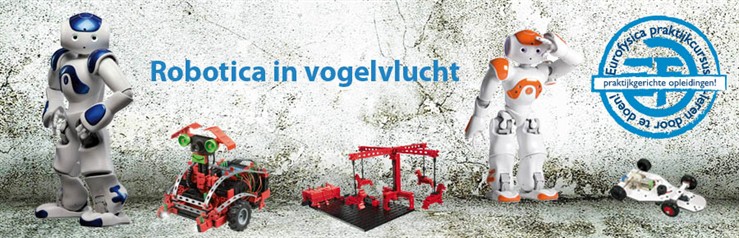 Robotica in vogelvlucht heading